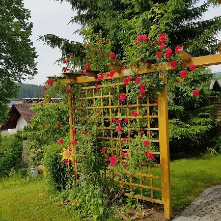Appartement Am Kirchberg *